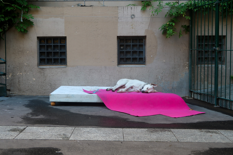 Illustration for article titled 20 HOURS IN PARIS
